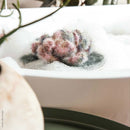 Heft "Rico - Bubble- Bath"