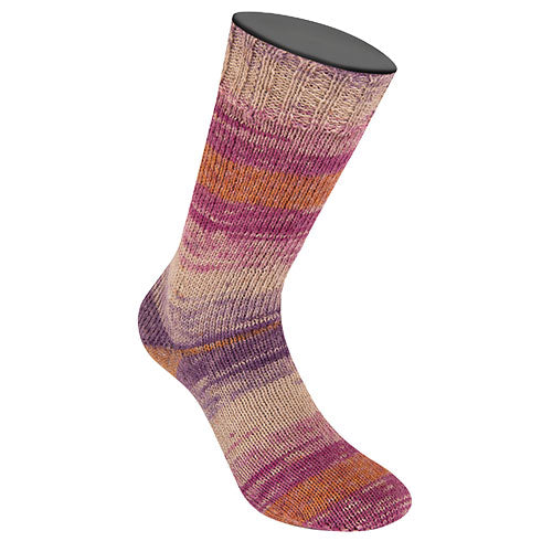 Meilenweit 100 Alpaca 11
