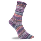 Golden Socks beere color