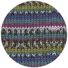Bravo Jaquard Color jeans