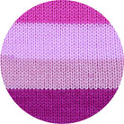 Bravo Color orchid