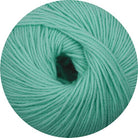 Merino Extrafine 170 mint