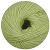 citron vert