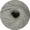 gris clair
