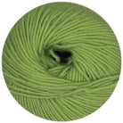Merino Extrafine 120 apfel