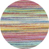 Lovis multicolor