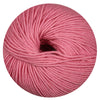 tea rose
