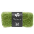 Setasuri