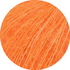 Silkhair kürbis