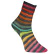 Paint Socks regenbogen