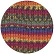 Bravo Jacquard Color rainbow