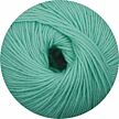 Merino Extrafine 170 mint