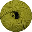 Merino Extrafine 170 anis