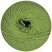 Merino Extrafine 120 apfel