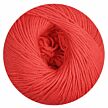 Baby Cotton melone