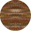 Cool Merino Big Color holz