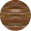 Cool Merino Big Color holz