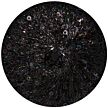 Starlight L344 schwarz