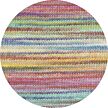 Lovis multicolor