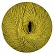 Regia Merino Yak gras green