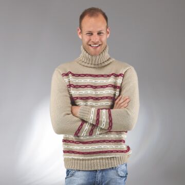 Herrenpullover "Ideal" 754013