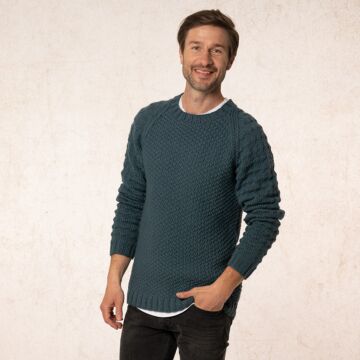 Herrenpullover "Sporty" 763011